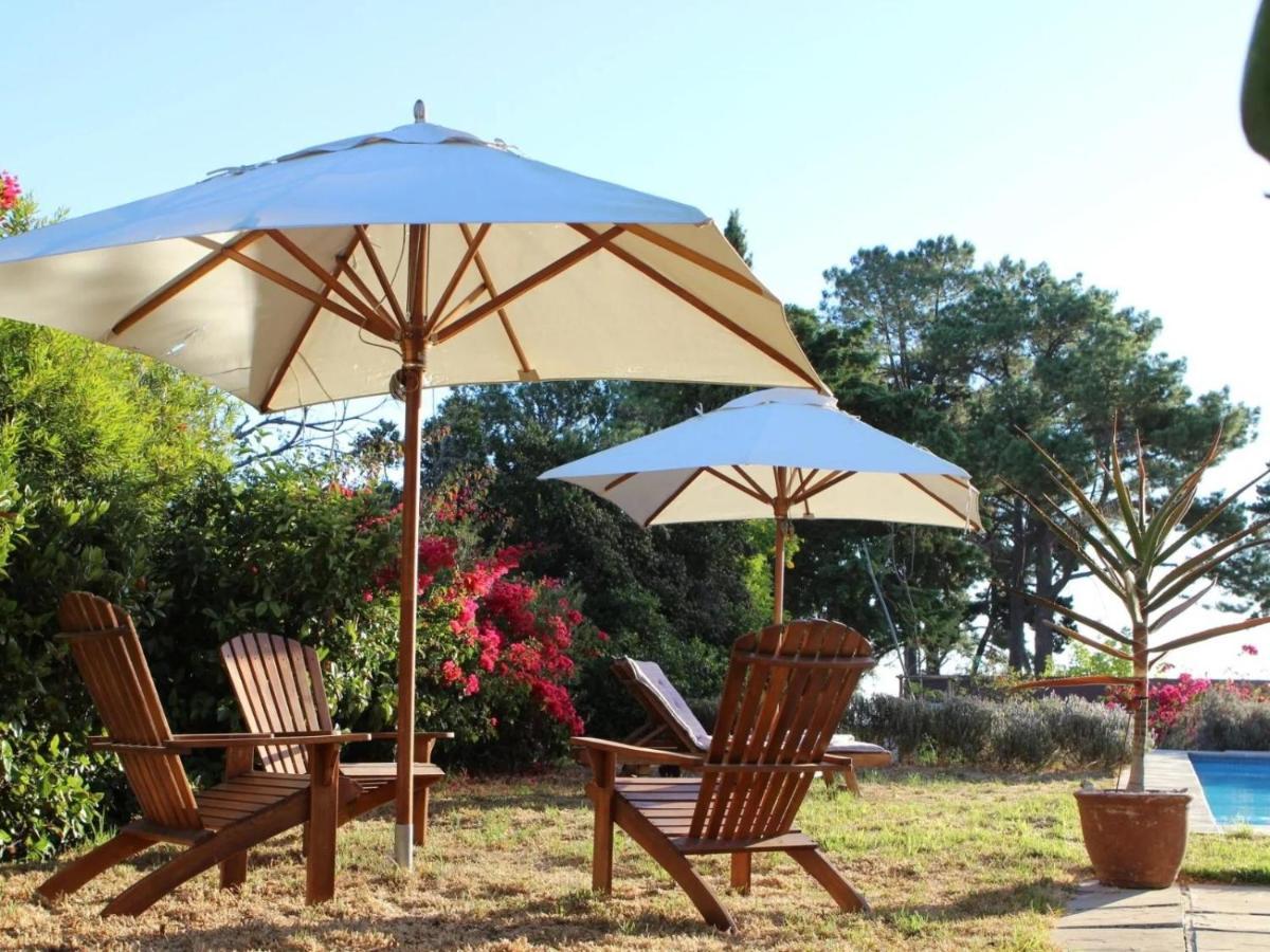 Explorer Guesthouse 서머싯웨스트 외부 사진